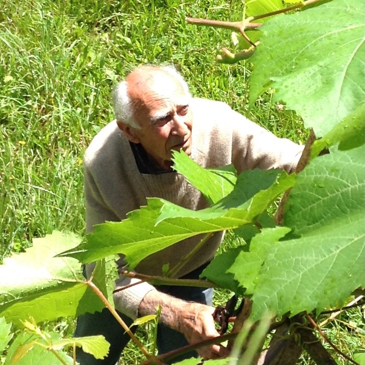 Photo de Monsieur Jean Leyrich